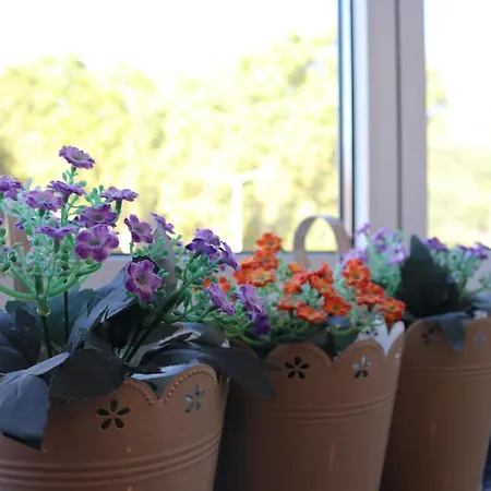 Casa Da Fonte Quente